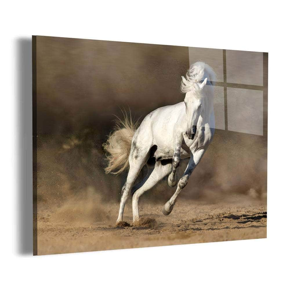 White Horse Wall Art – Canvas Freaks