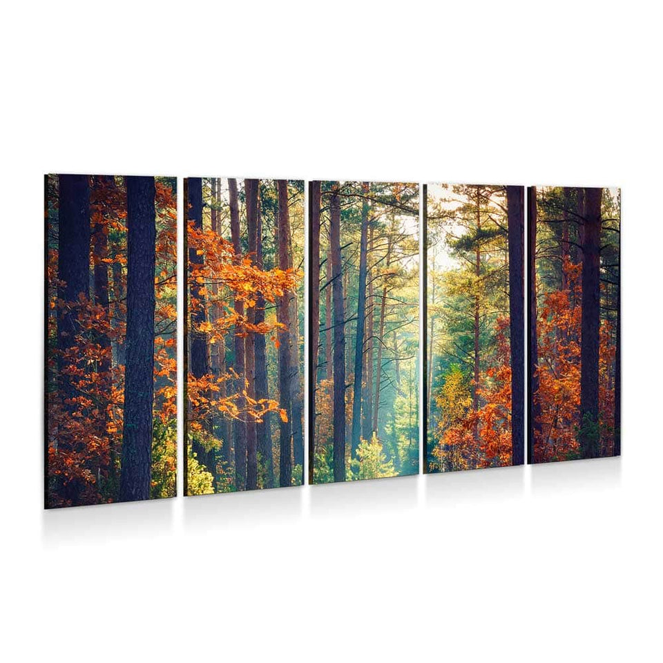 Autumn Forest Wall Art – Canvas Freaks