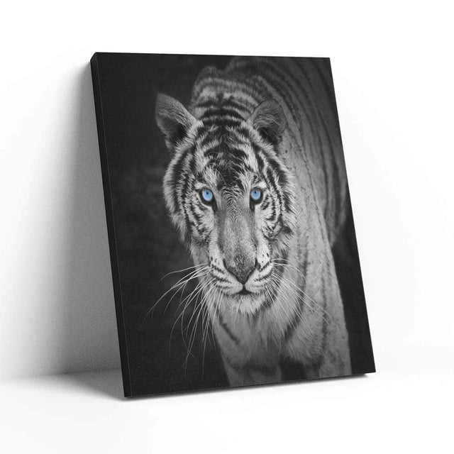 White Tiger Wall Art – Canvas Freaks