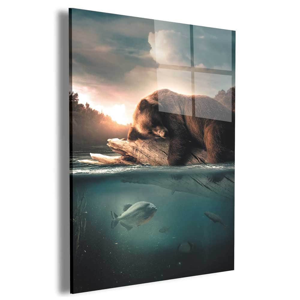 Floating Bear Wall Art – Canvas Freaks