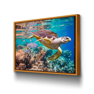 Turtle Wall Art – Canvas Freaks