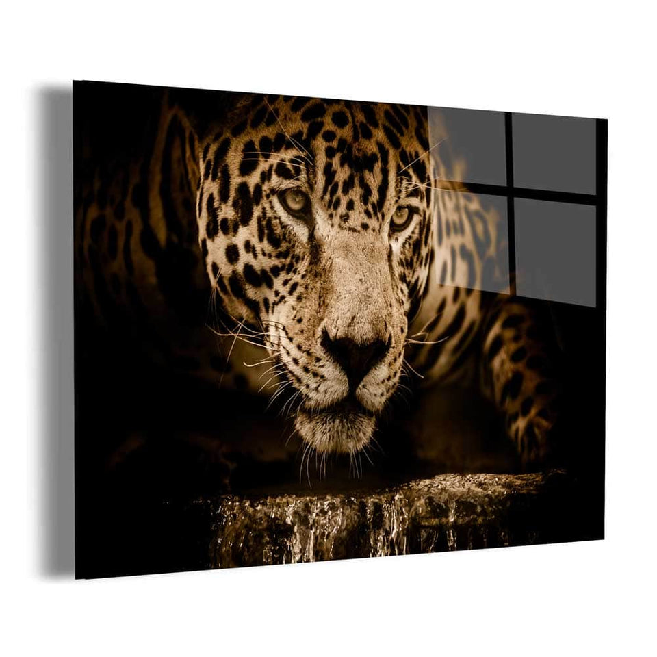 Jaguar Wall Art – Canvas Freaks