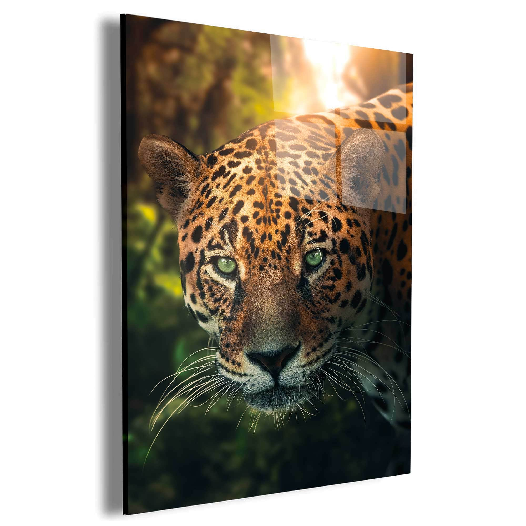 Leopard Amazone Wall Art – Canvas Freaks