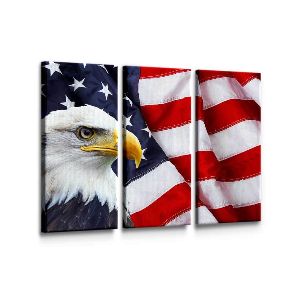 American Flag Eagle Wall Art – Canvas Freaks