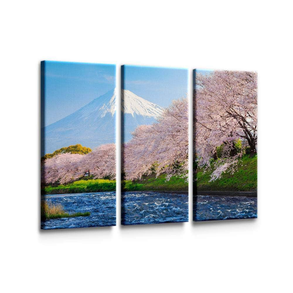 Sakura at Mount Fuji Wall Art – Canvas Freaks