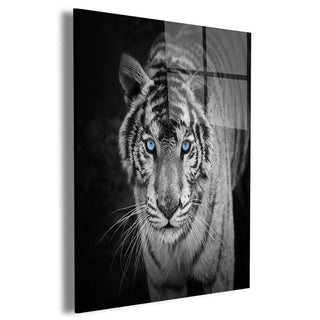 White Tiger Wall Art – Canvas Freaks