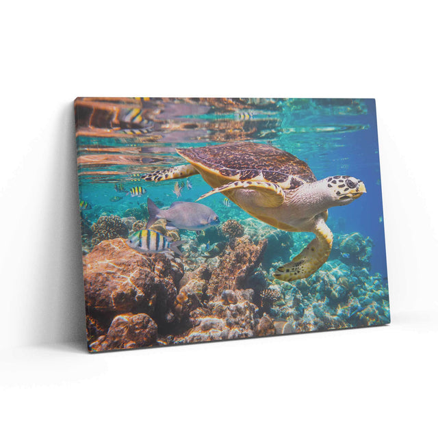 Turtle Wall Art – Canvas Freaks