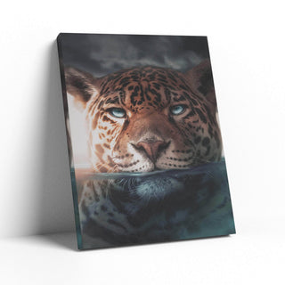 Underwater Jaguar Wall Art – Canvas Freaks