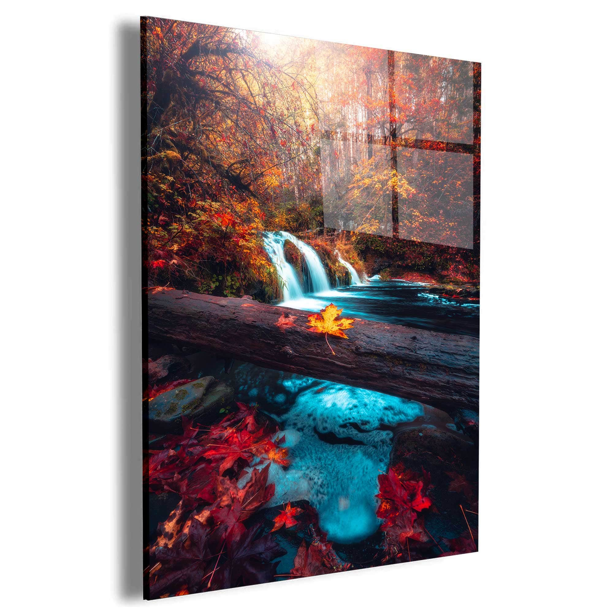 Surrounded by Color Wall Art – Canvas Freaks