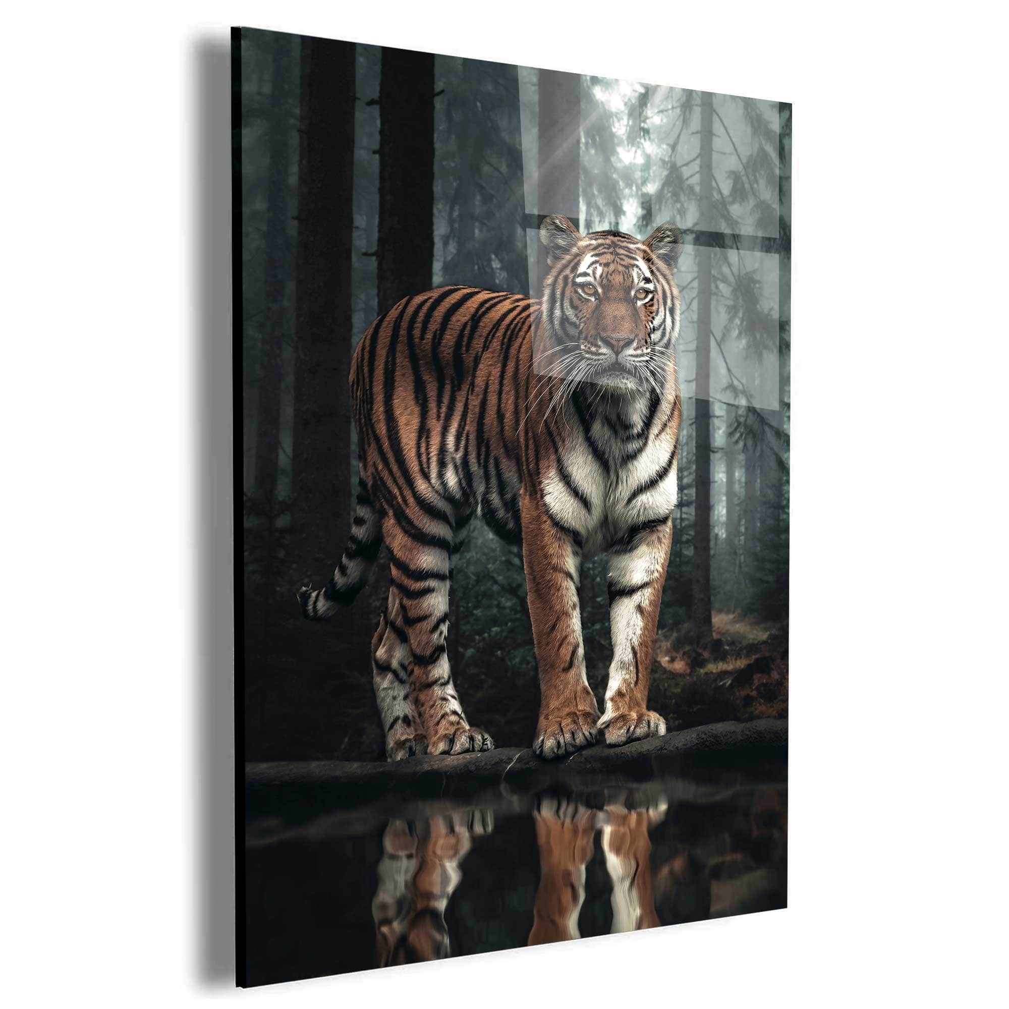 Tiger Reflection Wall Art – Canvas Freaks