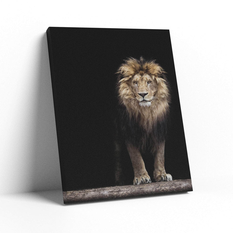 Majestic Lion Wall Art – Canvas Freaks