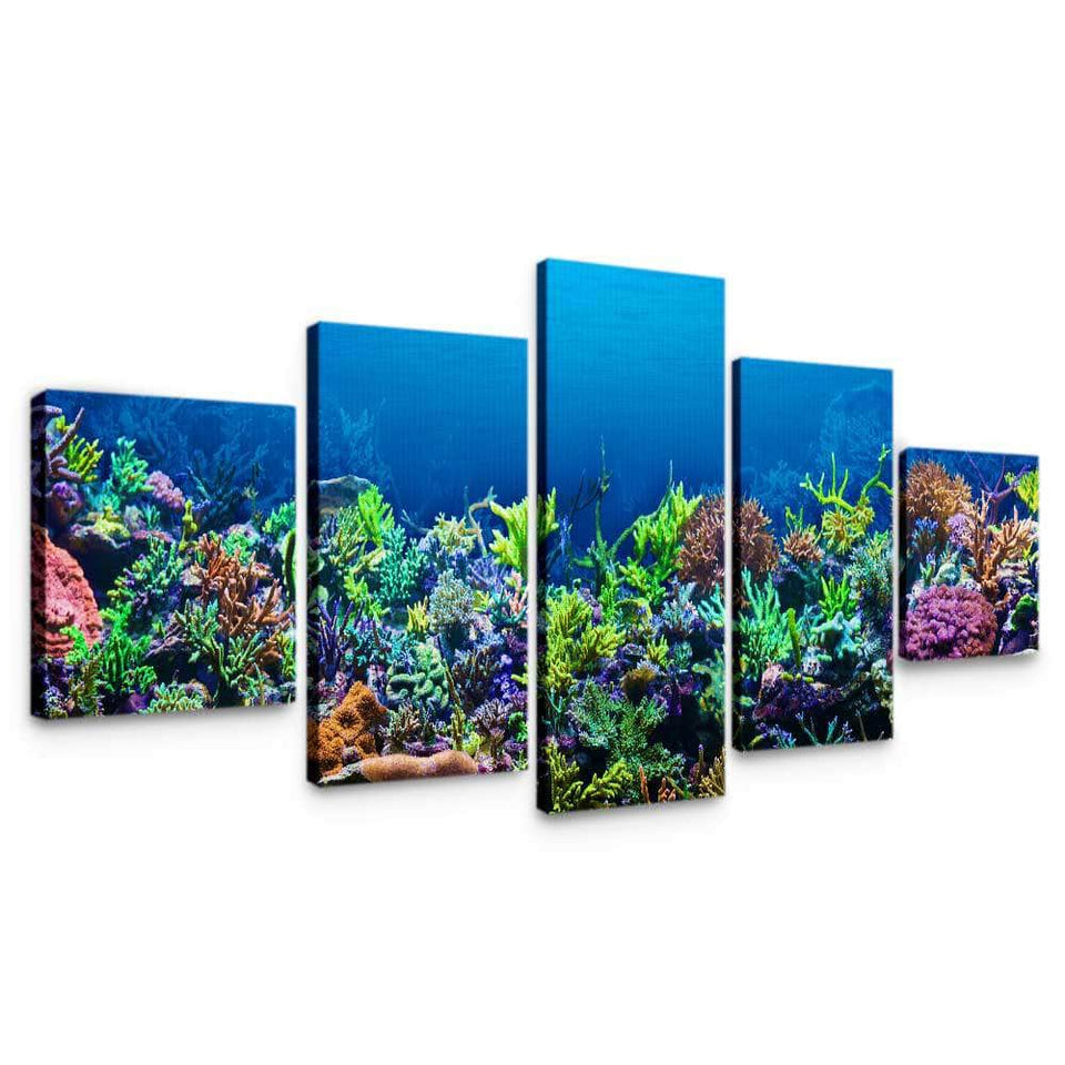 Coral Reef Wall Art – Canvas Freaks