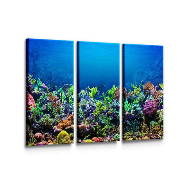 Coral Reef Wall Art – Canvas Freaks