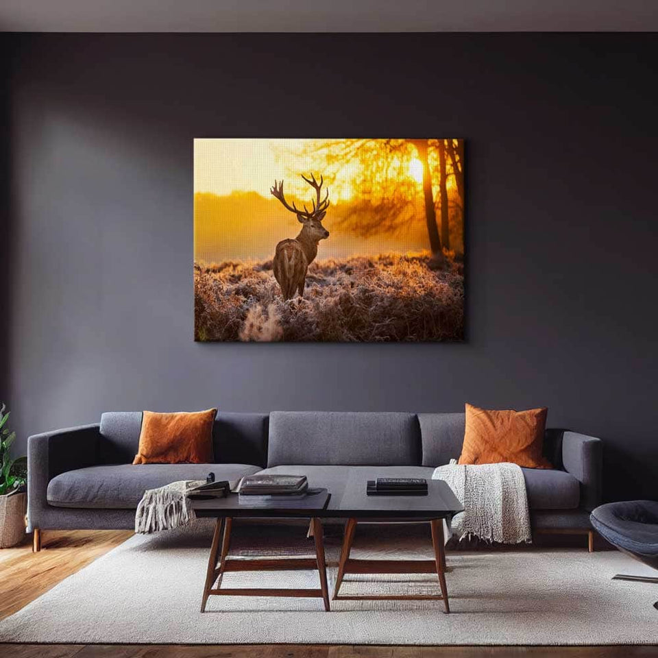 Deer Sunset Wall Art – Canvas Freaks