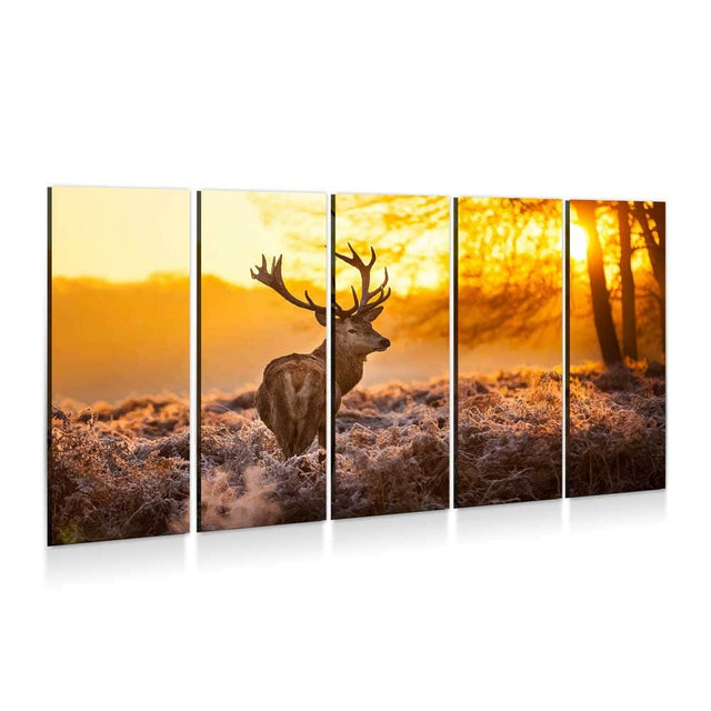 Deer Sunset Wall Art – Canvas Freaks