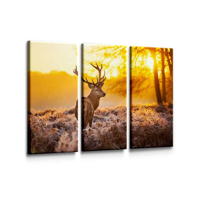 Deer Sunset Wall Art – Canvas Freaks