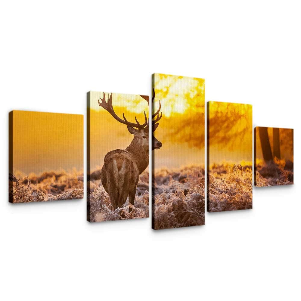 Deer Sunset Wall Art – Canvas Freaks