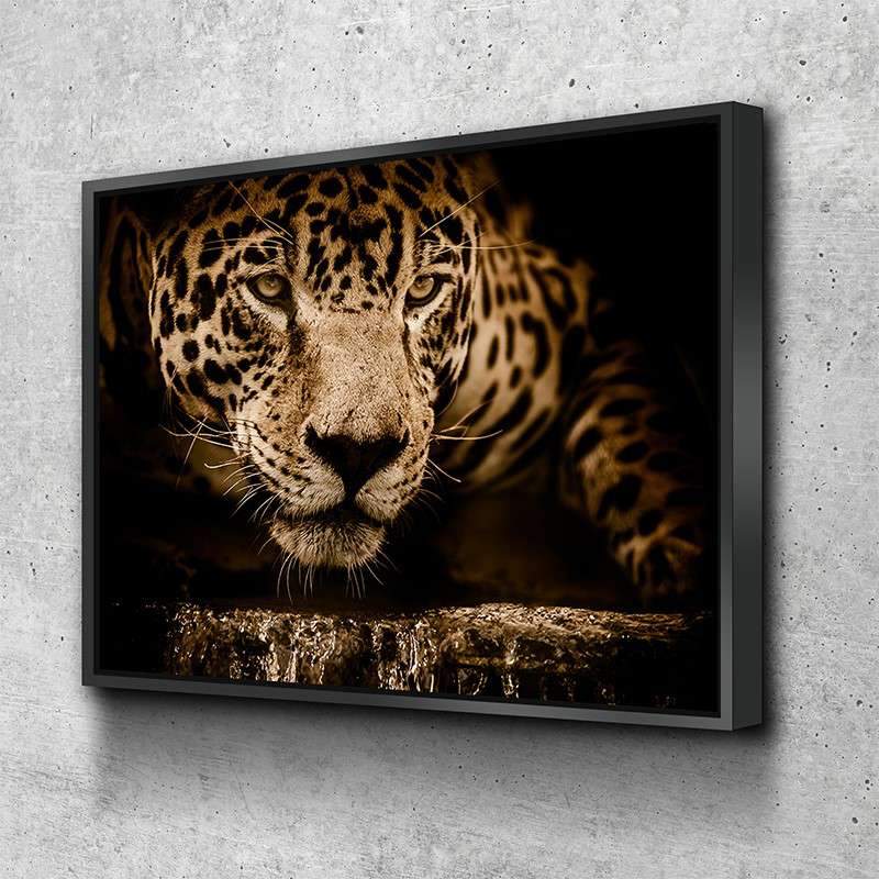 Jaguar Wall Art – Canvas Freaks